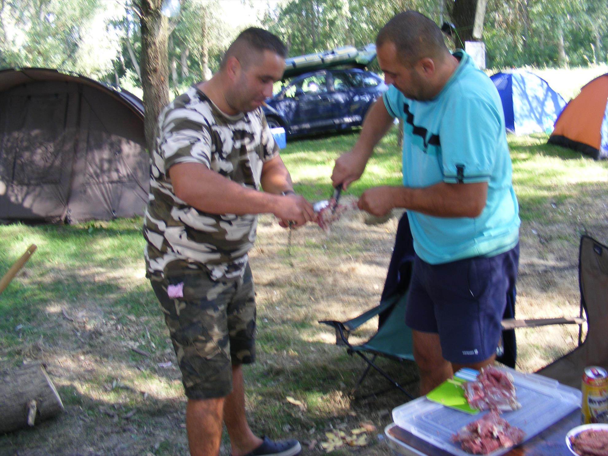 dunarea - dscf0107.JPG